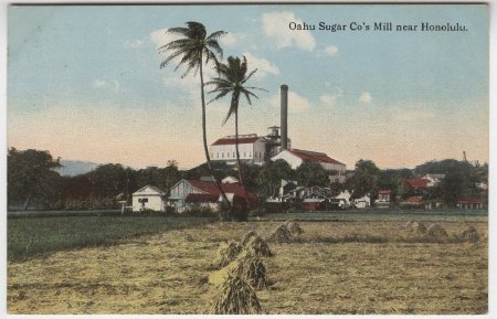 Oahu Sugar Co's Mill Near Honolulu