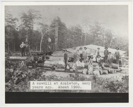 Sawmill in Appleton, Ark.
