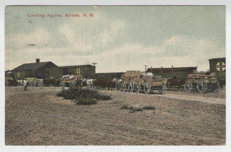 Loading Apples, Artesia, N. M.