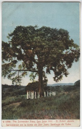The Surrender Tree, San Juan Hill