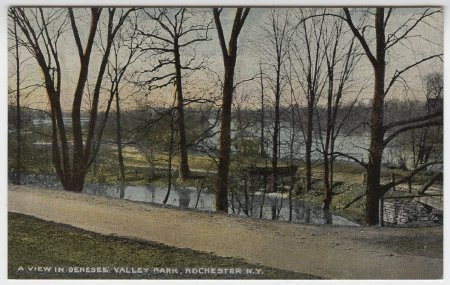 A View in Genesee Valley Park, Rochester N.Y.