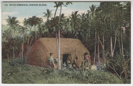 Native Homestead, Hawaiian Islands